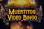 Muertitos Video Bingo